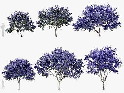 现代办公桌 现代植物树木