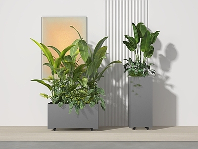 盆栽 盆景 植物 绿植 植物组合 挂画