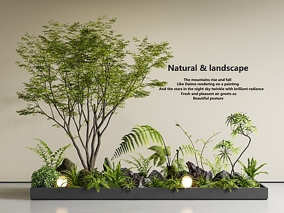 现代室内景观 景观造景 庭院小品 绿植花箱 景观树 植物堆
