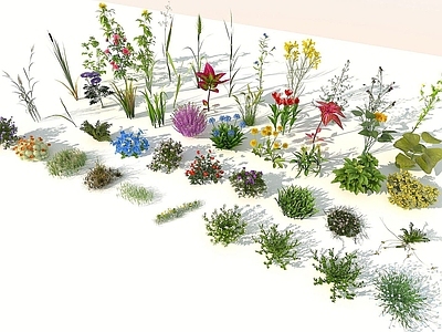 现代花草组合