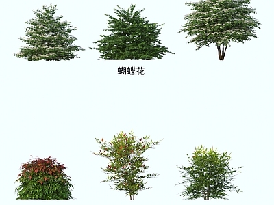 灌木 灌木花草 植物类