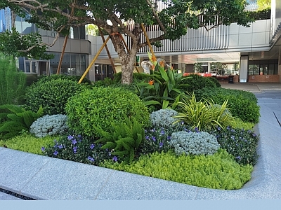 花草 花境 花坛花草