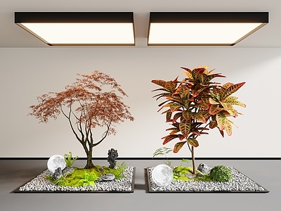 现代室内景观 植物造景 景观小品