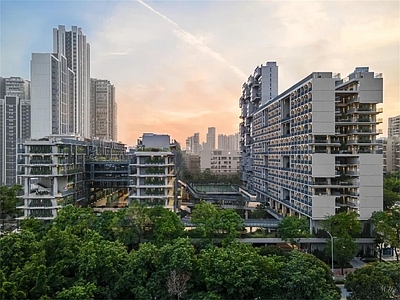 现代学校建筑 深圳国际交流学校 教学楼学校 学校操场 学校湖景