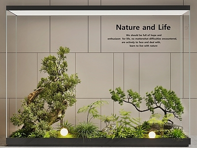 现代室内景观 景观造景 庭院景观 植物景观 木头绿植 绿植组合