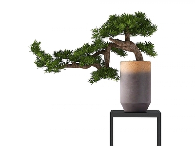 现代植物