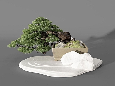 现代植物