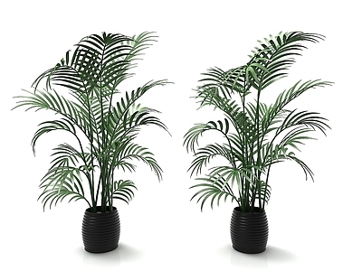 现代佛龛 现代风格植物