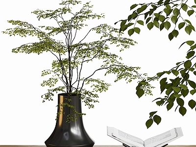 盆栽 现代花瓶绿植摆件 花瓶 绿植