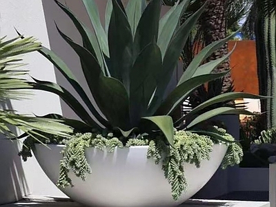 盆栽 景观花钵 造型盆景 艺术花钵 盆栽