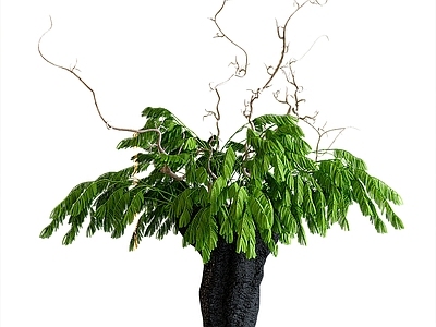 现代花艺 现代花艺