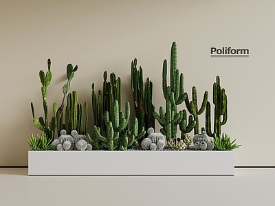 植物堆 现代仙人掌组合