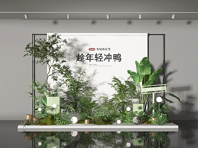 植物组合 树池植物组合 植物美陈 橱窗 植物对 小景