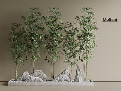 竹子 竹林 景观林