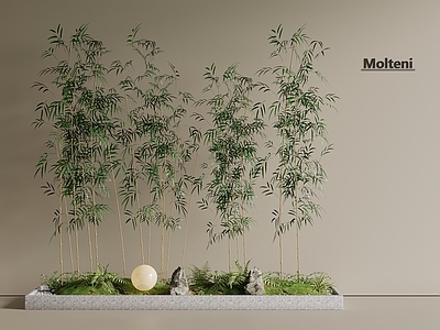 竹子 竹林 景观