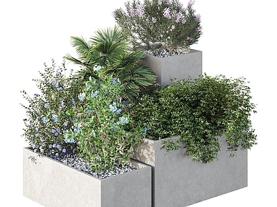 植物堆 外景 盆栽 灌木 树