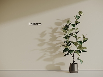 盆栽 现代绿植盆栽