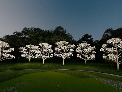 乔木 白色花乔木