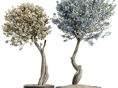 盆栽