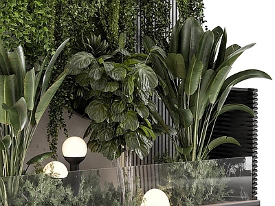 植物堆 植物墙 绿植 花池 花坛 室内植物景观