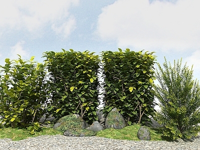 现代办公桌 精品景观植物