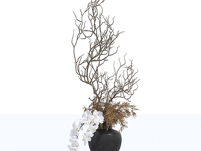 盆景 侘寂干花 干花 盆栽 盆景
