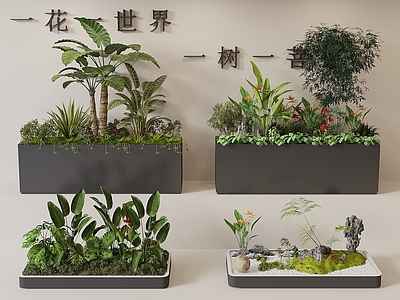 花箱 外摆植物花箱 室内景观植物堆 花坛花箱 花池 植物组合
