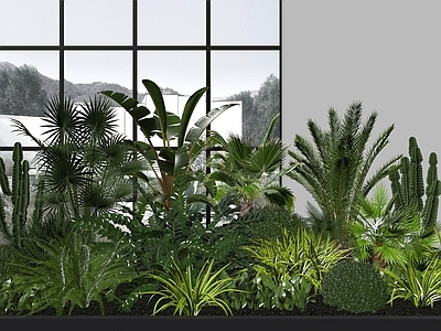 植物堆 现代 植物 绿植 热带植物 绿植池