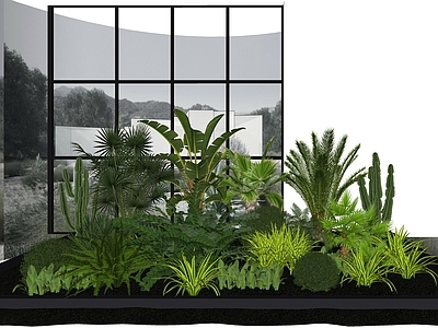 植物组合 现代 植物 绿植 树池植物组合 热带植物 绿植池