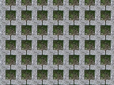 现代植草砖 户外植草砖