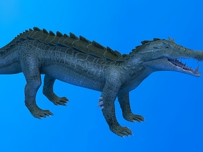 水生类动物 撒哈拉 野猪鳄 动物 生物