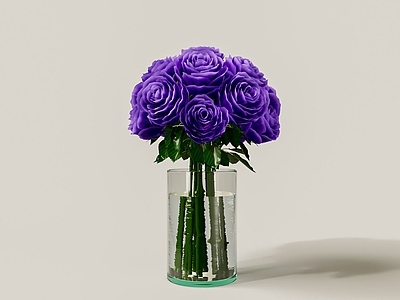 水生植物 绿色植物 蓝色妖姬 水生植物