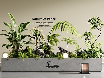 植物组合 花箱 室内景观 景观造景 植物堆 花池花坛