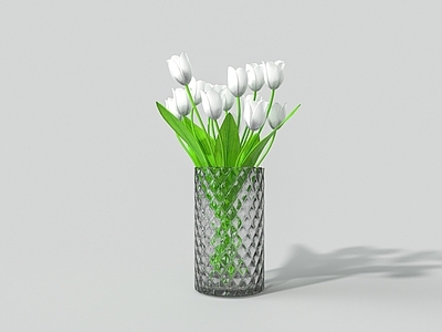 水生植物 玻璃花瓶 白百合 绿植