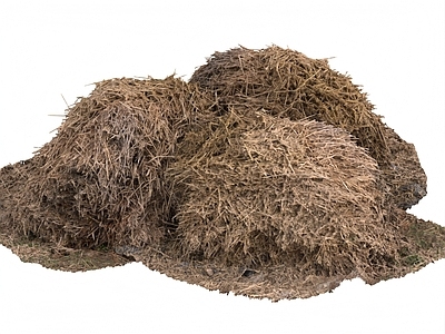 植物堆 干草堆 茅草堆 稻草堆