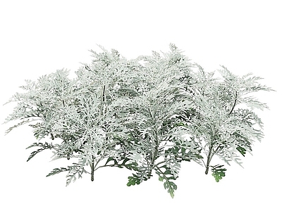 现代佛龛 现代植物盆栽矮灌