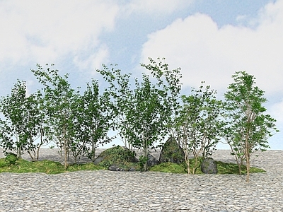现代办公桌 精品景观植物