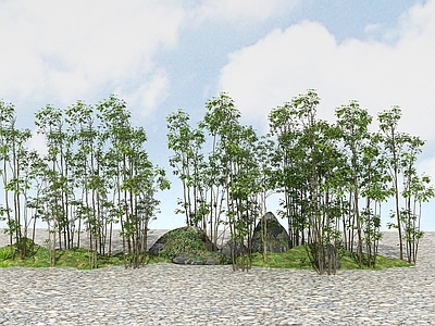 现代办公桌 精品景观植物
