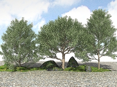 现代办公桌 精品景观植物