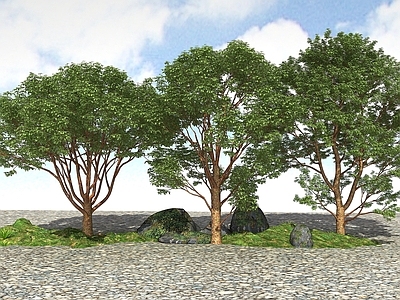 现代办公桌 精品景观植物