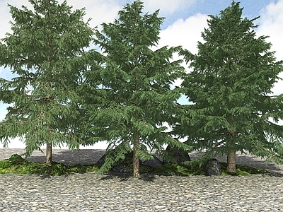 现代办公桌 精品景观植物