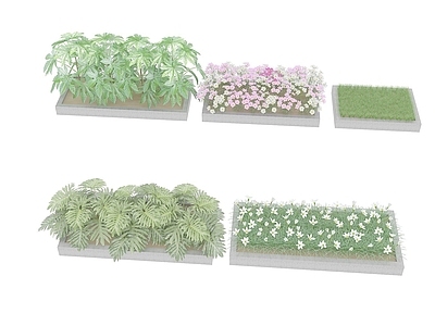 现代办公桌 室外矮植物