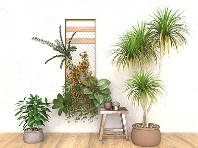 盆栽 盆栽盆景 绿植墙