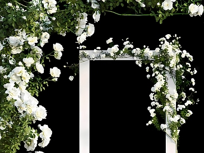 藤蔓 现代花 藤蔓 花架藤蔓 花墙藤蔓