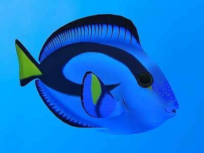 水生类动物 蓝龙鱼 丝鳍毛足鲈 动物 生物