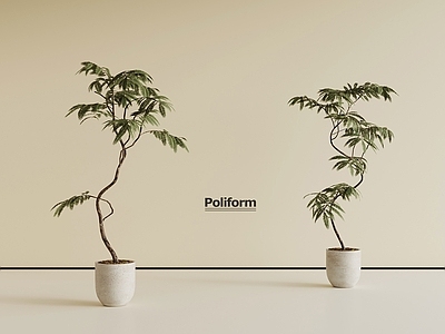 盆栽 中古风植物 绿植