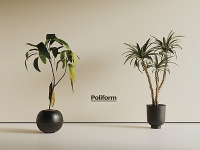 盆栽 中古风植物 绿植