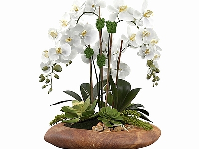 现代侘寂花艺 花艺盆栽
