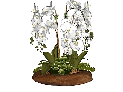 现代简约花艺 花艺盆栽