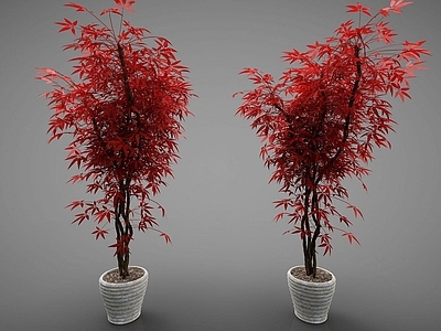 现代风格花盆